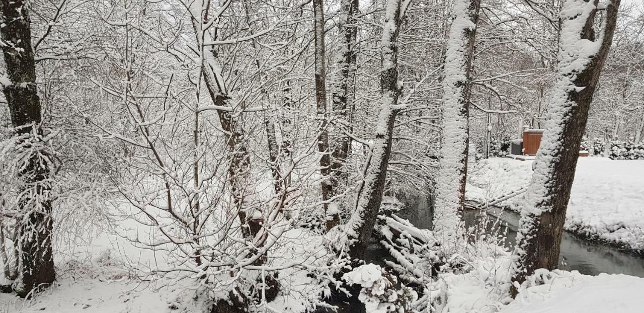 Vodenica Vrelo Chalets Vrelo Koreničko Exterior foto